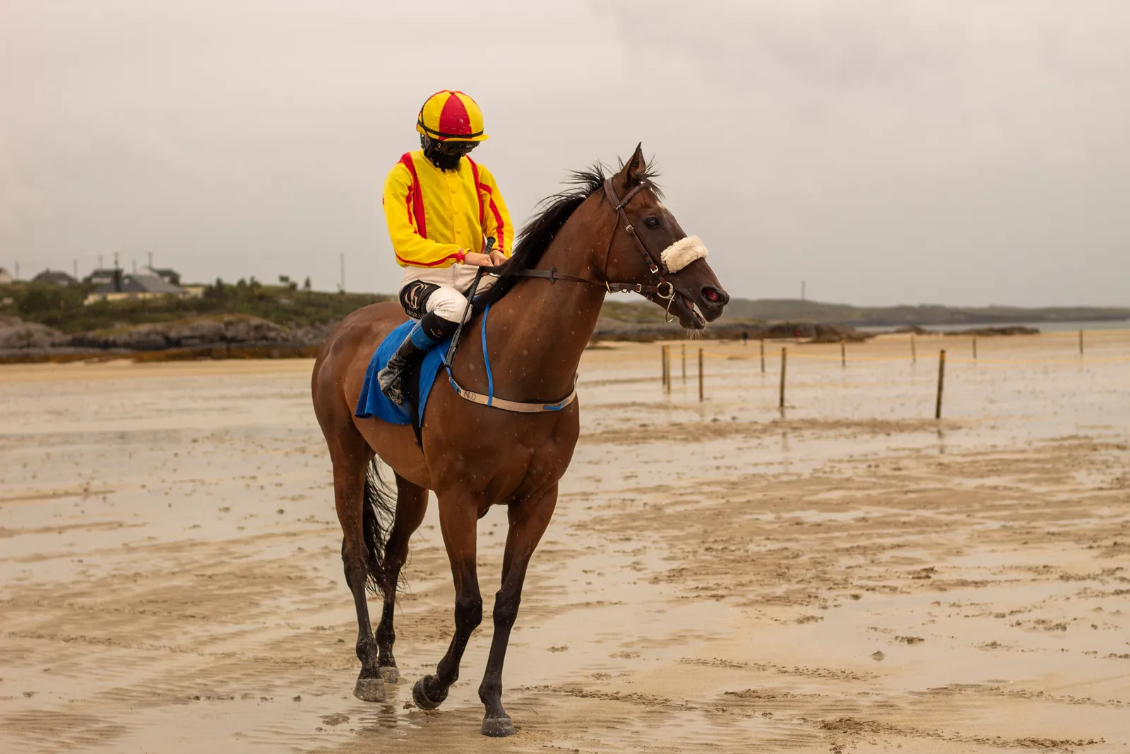 A jockey in yellow and red silks walks a bay horse across wet sand towards the camera before a race at Omey.