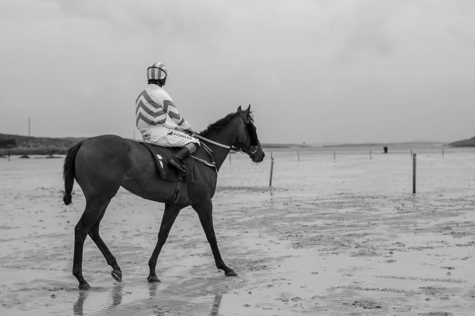 Seen from behind, a jockey in striped silks rides a horse at walking pace across the empty wet strand toward the start.