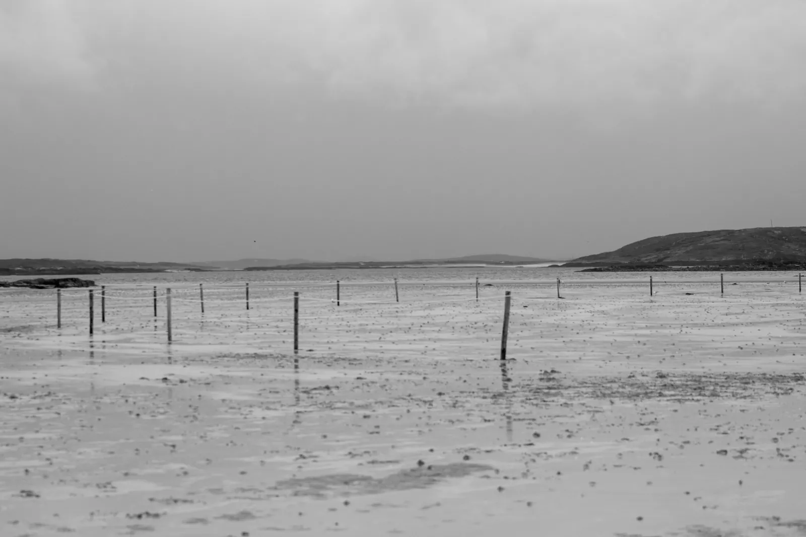 A line of thin wooden marker posts standing in wet sand on Omey Strand, with shallow water and low hills behind and no horses in sight.