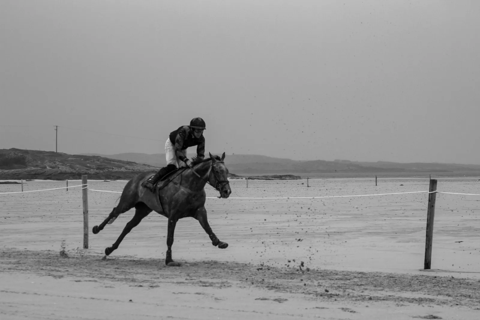 A grey horse gallops alone along the roped course at Omey, sand kicking up behind, a line of posts and rope running across the frame.