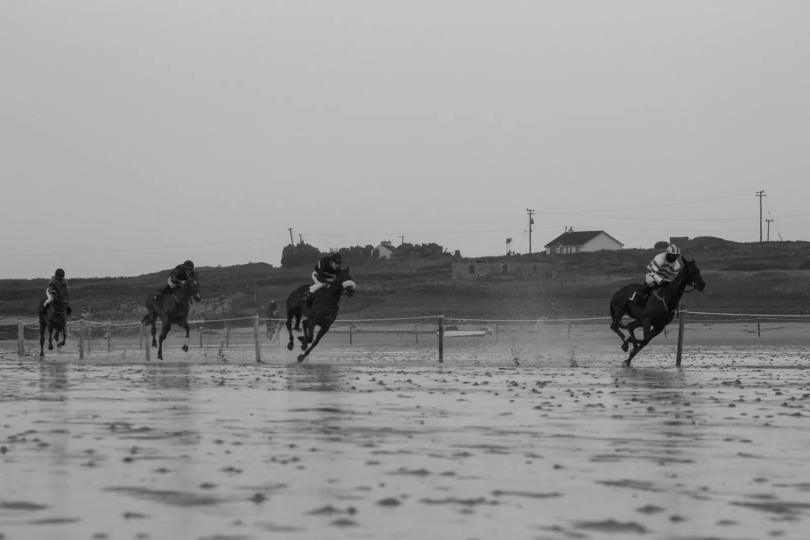 A field of horses strung out across the far side of the strand in heavy rain, their shapes reflected in a wide sheet of standing water in the foreground.