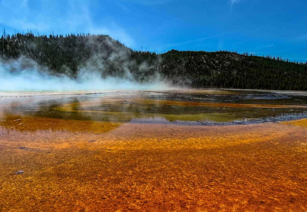 Close-up ground-level view of the Grand Prismatic Spring in Yellowstone National Park, highlighting its vivid colors and steamy geothermal activity.
